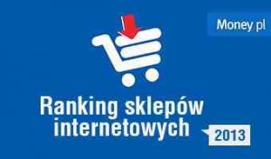 ranking-sklepow-internetowych-2013