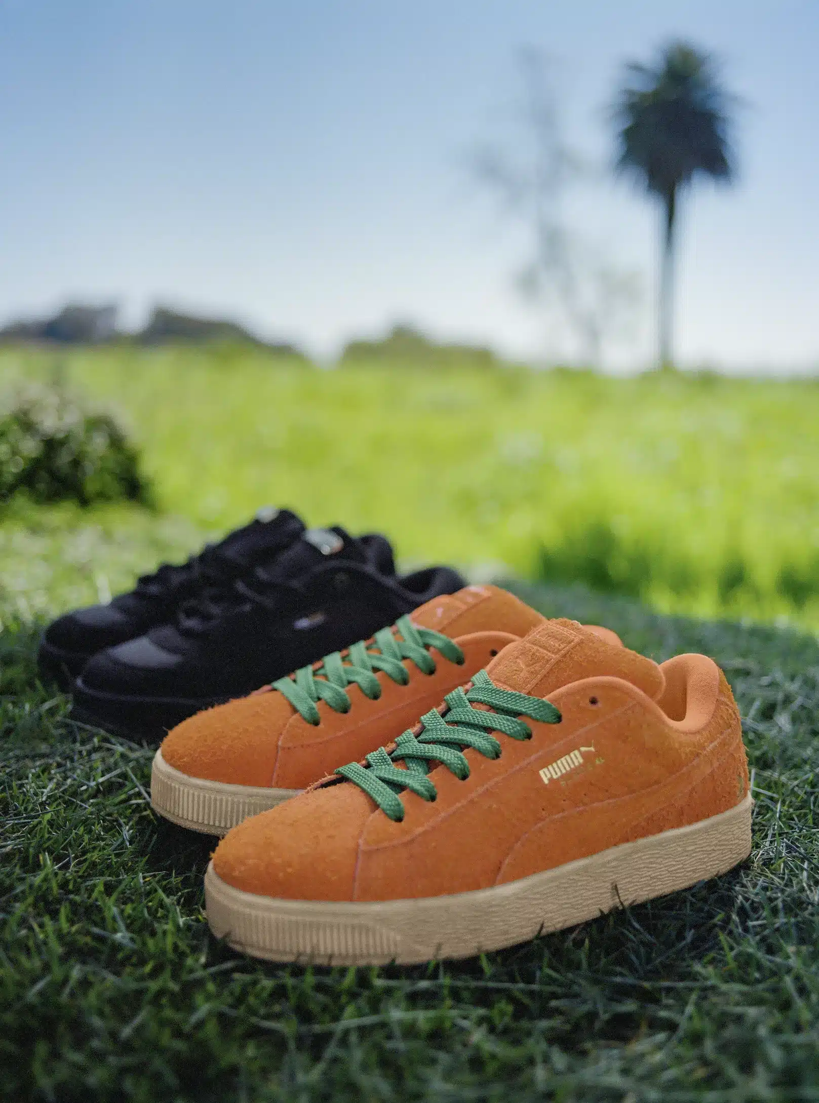 Kolekcja Streetwearowa PUMA x Carrots (1)