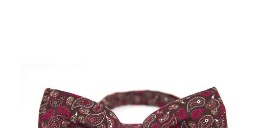 PolscyProjektanci.com_The_Bow_Bow_Ties_muszka_brazowa_paisley_classic_69zl
